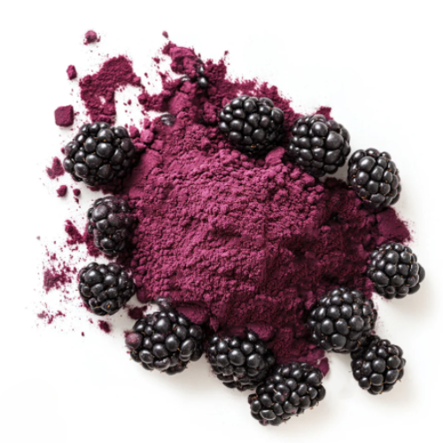Freeze Dried Blackberry Powder